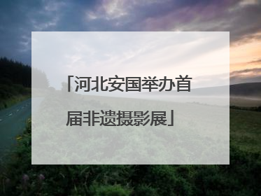 河北安国举办首届非遗摄影展