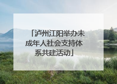泸州江阳举办未成年人社会支持体系共建活动