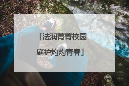 法润菁菁校园 庭护灼灼青春
