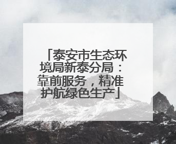 泰安市生态环境局新泰分局：靠前服务，精准护航绿色生产