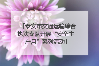 泰安市交通运输综合执法支队开展“安全生产月”系列活动