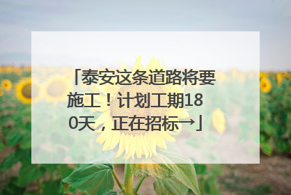 泰安这条道路将要施工！计划工期180天，正在招标→