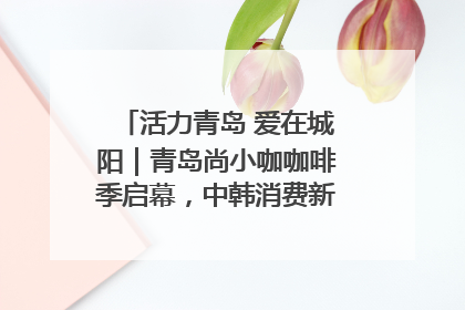 活力青岛 爱在城阳｜青岛尚小咖咖啡季启幕，中韩消费新场景点燃夏日热情