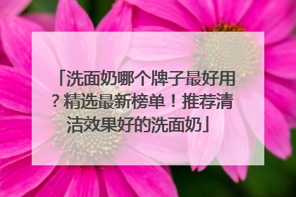 洗面奶哪个牌子最好用？精选最新榜单！推荐清洁效果好的洗面奶