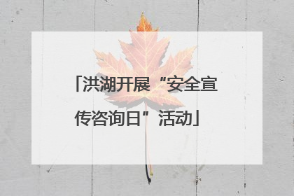 洪湖开展“安全宣传咨询日”活动