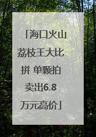 海口火山荔枝王大比拼 单颗拍卖出6.8万元高价