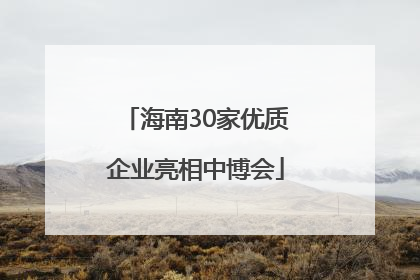 海南30家优质企业亮相中博会