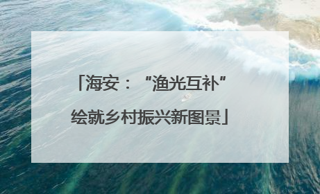海安：“渔光互补” 绘就乡村振兴新图景