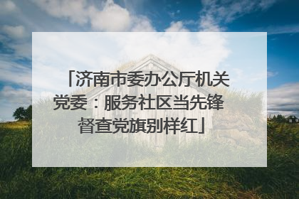 济南市委办公厅机关党委：服务社区当先锋 督查党旗别样红