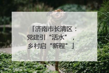 济南市长清区：党建引“活水”，乡村启“新程”