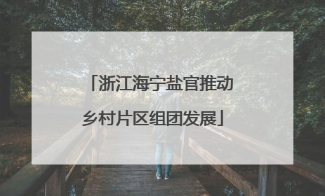 浙江海宁盐官推动乡村片区组团发展