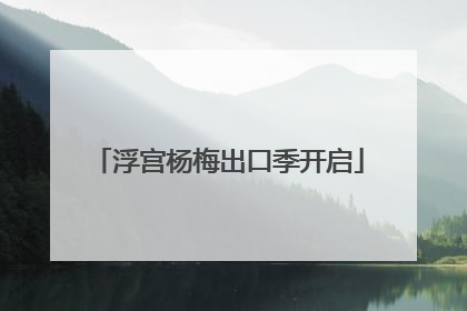 浮宫杨梅出口季开启