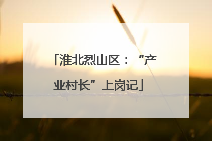 淮北烈山区：“产业村长”上岗记
