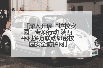 深入开展“护校安园”专项行动 陕西平利多方联动织密校园安全防护网
