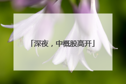 深夜，中概股高开