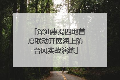 深汕惠揭四地首度联动开展海上防台风实战演练