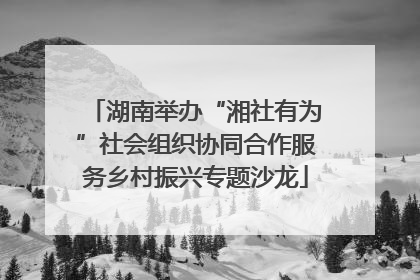 湖南举办“湘社有为”社会组织协同合作服务乡村振兴专题沙龙