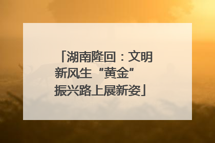 湖南隆回：文明新风生“黄金” 振兴路上展新姿
