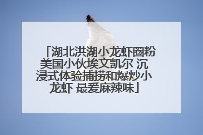 湖北洪湖小龙虾圈粉美国小伙埃文凯尔 沉浸式体验捕捞和爆炒小龙虾 最爱麻辣味