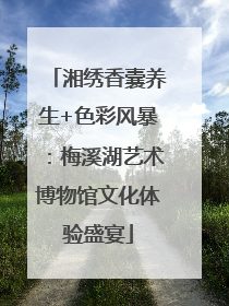 湘绣香囊养生+色彩风暴：梅溪湖艺术博物馆文化体验盛宴