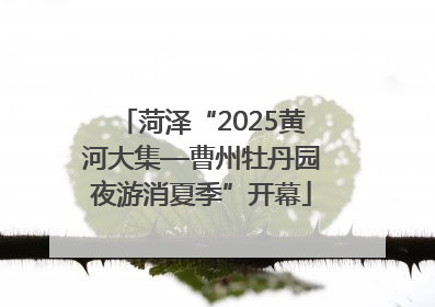 菏泽“2025黄河大集—曹州牡丹园夜游消夏季”开幕