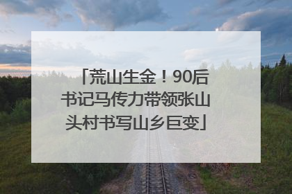 荒山生金！90后书记马传力带领张山头村书写山乡巨变