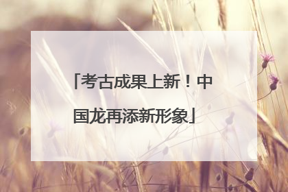 考古成果上新！中国龙再添新形象