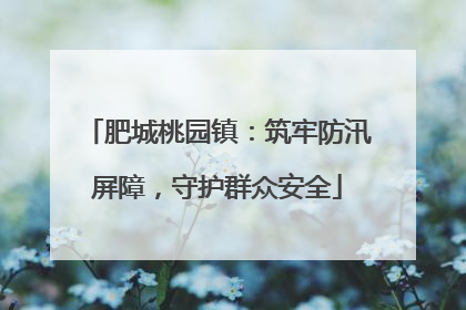 肥城桃园镇：筑牢防汛屏障，守护群众安全