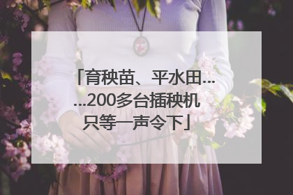 育秧苗、平水田……200多台插秧机只等一声令下