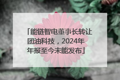 能链智电董事长转让团油科技，2024年年报至今未能发布