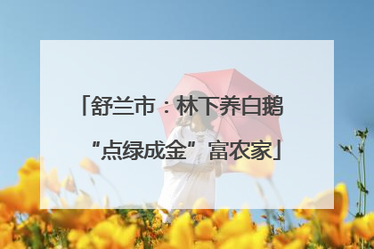 舒兰市：林下养白鹅 “点绿成金”富农家