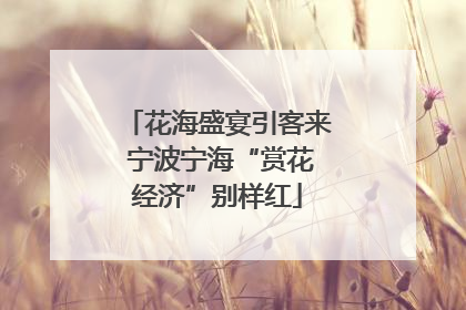 花海盛宴引客来 宁波宁海“赏花经济”别样红