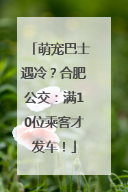 萌宠巴士遇冷？合肥公交：满10位乘客才发车！