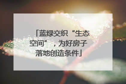 蓝绿交织“生态空间”，为好房子落地创造条件