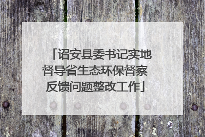 诏安县委书记实地督导省生态环保督察反馈问题整改工作
