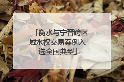 衡水与宁晋跨区域水权交易案例入选全国典型