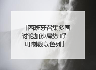 西班牙召集多国讨论加沙局势 呼吁制裁以色列