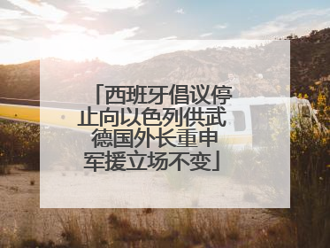 西班牙倡议停止向以色列供武 德国外长重申军援立场不变