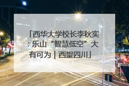 西华大学校长李秋实：乐山“智慧低空”大有可为｜西望四川