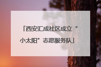 西安汇成社区成立“小太阳”志愿服务队