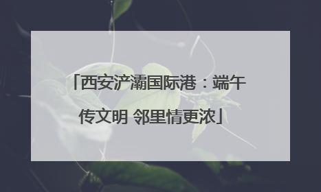 西安浐灞国际港：端午传文明 邻里情更浓