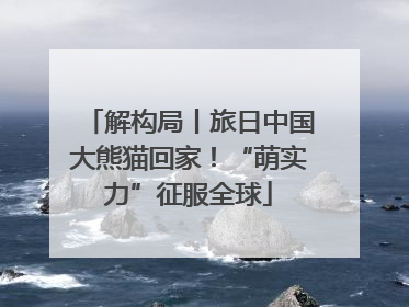 解构局丨旅日中国大熊猫回家！“萌实力”征服全球
