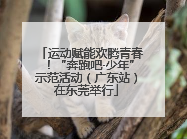 运动赋能欢腾青春！“奔跑吧·少年”示范活动（广东站）在东莞举行