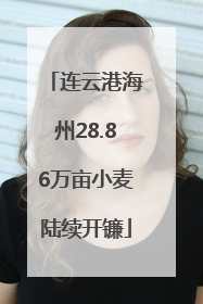 连云港海州28.86万亩小麦陆续开镰