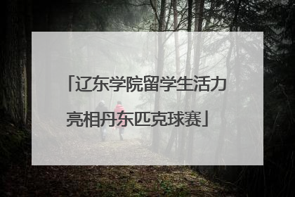 辽东学院留学生活力亮相丹东匹克球赛