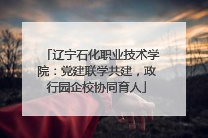 辽宁石化职业技术学院：党建联学共建，政行园企校协同育人