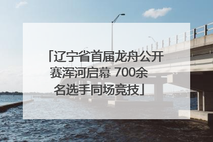 辽宁省首届龙舟公开赛浑河启幕 700余名选手同场竞技
