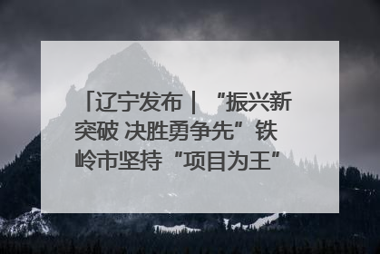辽宁发布｜“振兴新突破 决胜勇争先”铁岭市坚持“项目为王”推进经济高质量发展