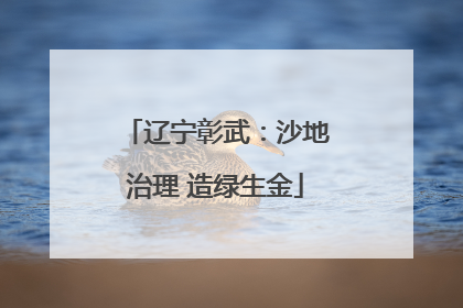 辽宁彰武：沙地治理 造绿生金