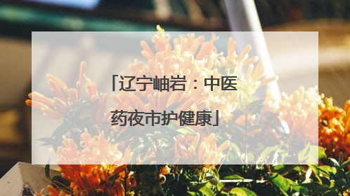 辽宁岫岩：中医药夜市护健康